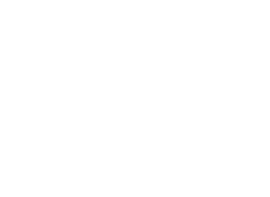 king-solomon-international-business-school-logo